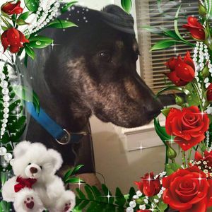 Meet your Posher, Kathy burns